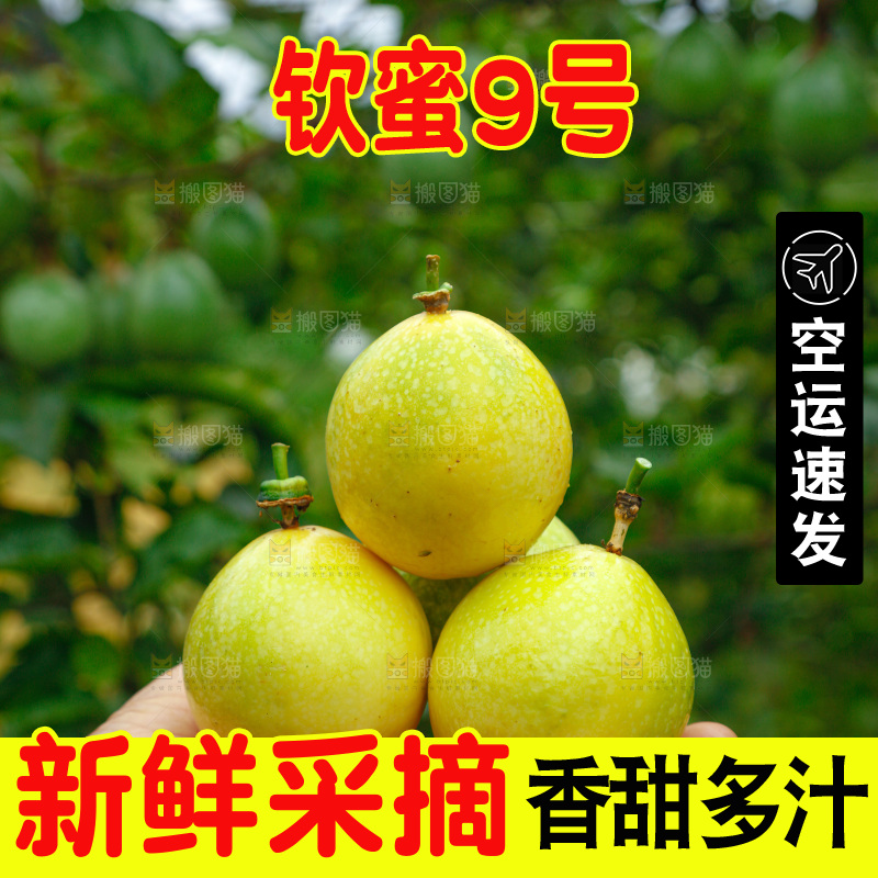 黄金百香果