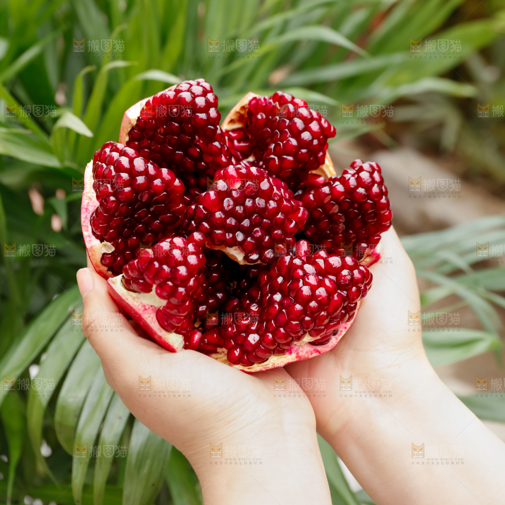 软籽石榴