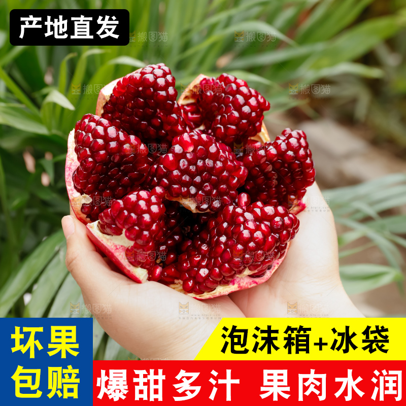 软籽石榴