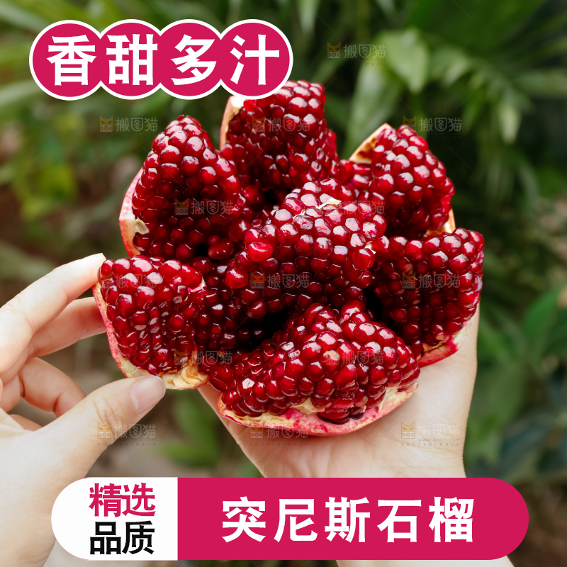 软籽石榴