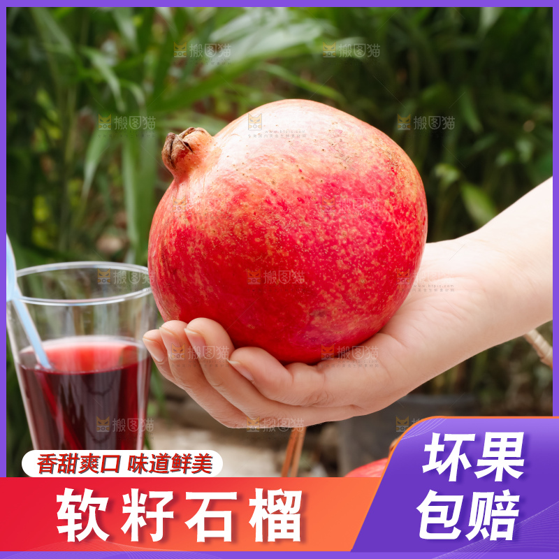 软籽石榴