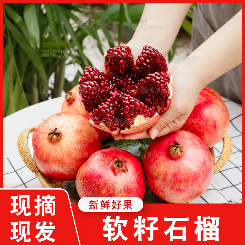 软籽石榴