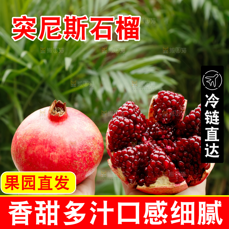 软籽石榴