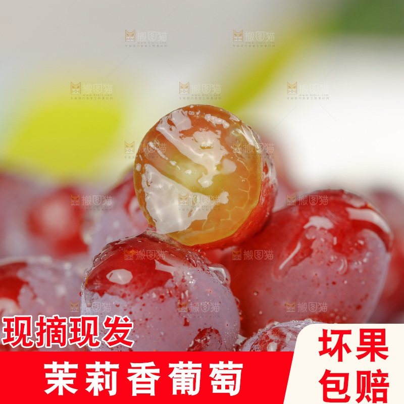 茉莉香葡萄