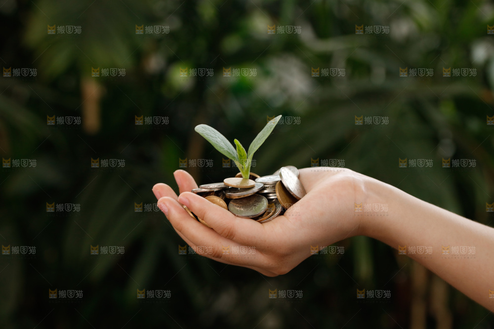 理财 金融 金币储值