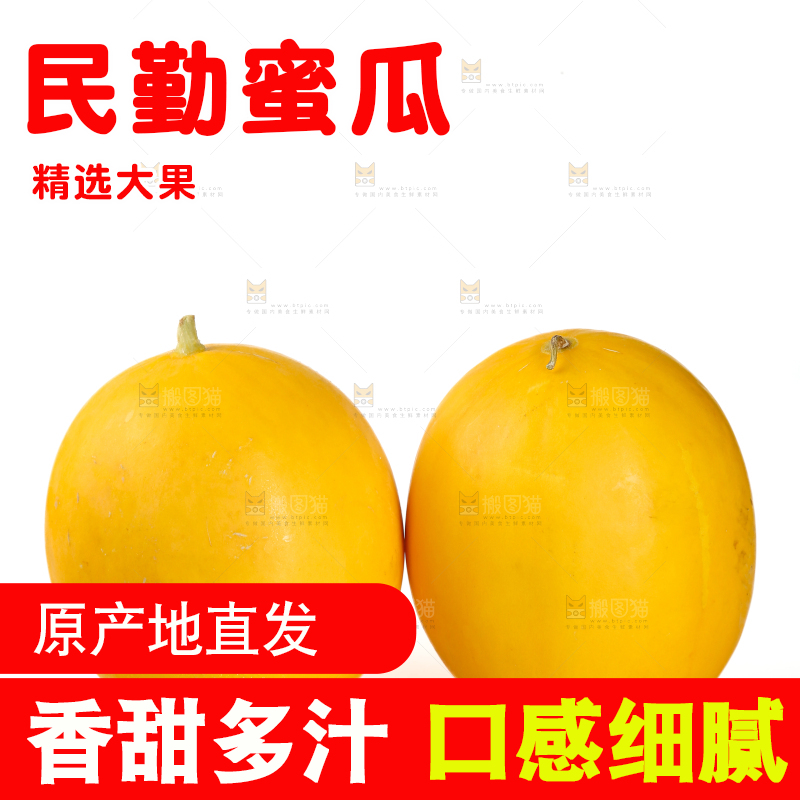 民勤蜜瓜