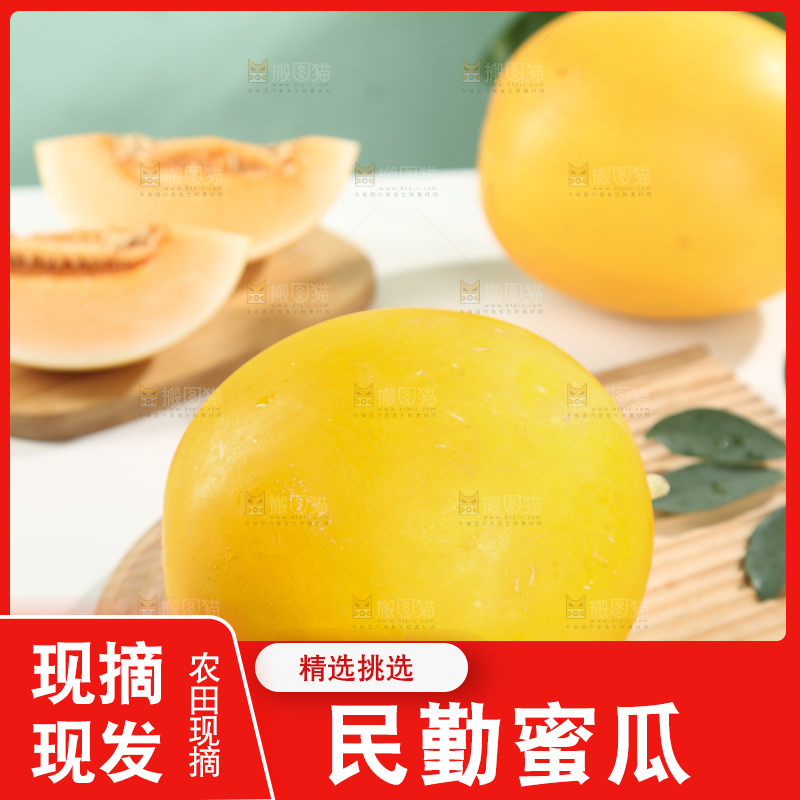 民勤蜜瓜