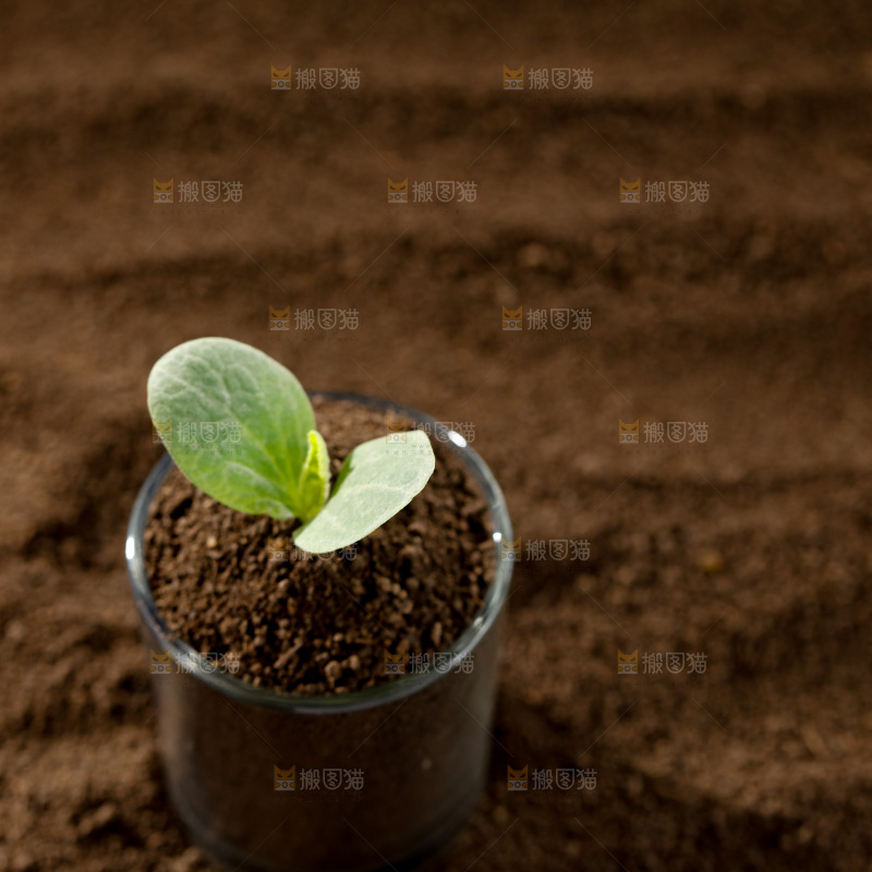 土壤 生机