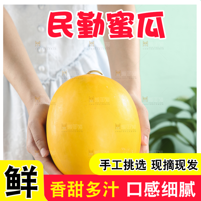 民勤蜜瓜