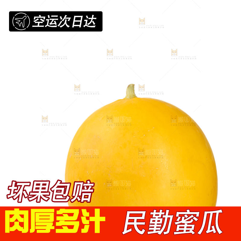 民勤蜜瓜