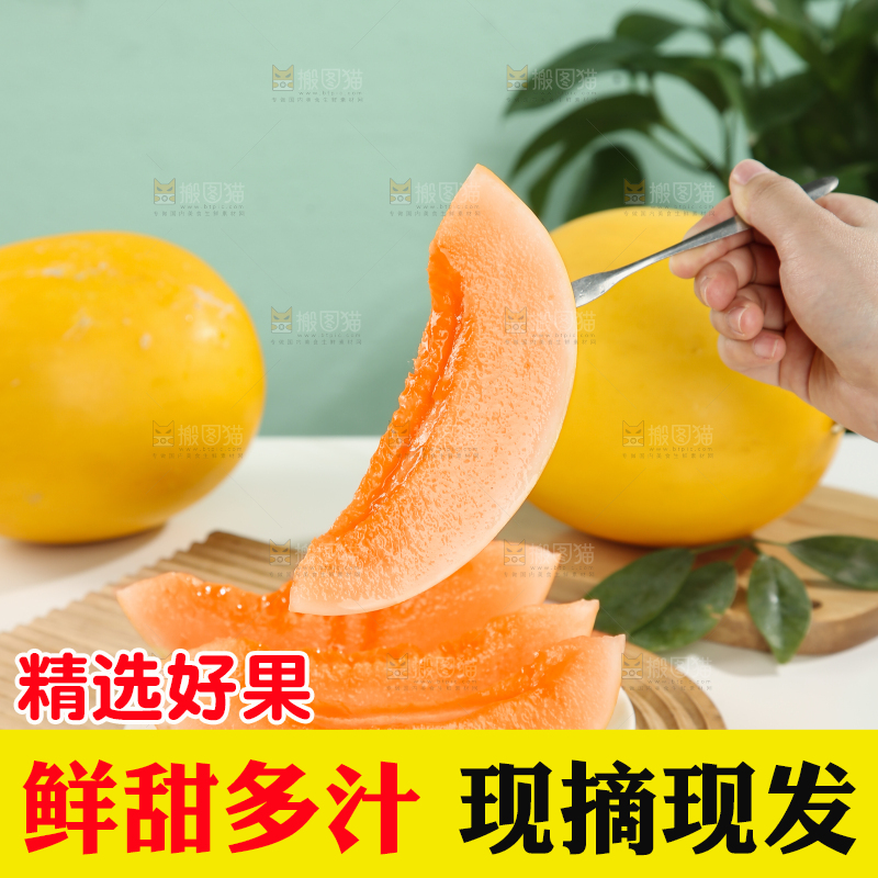 民勤蜜瓜