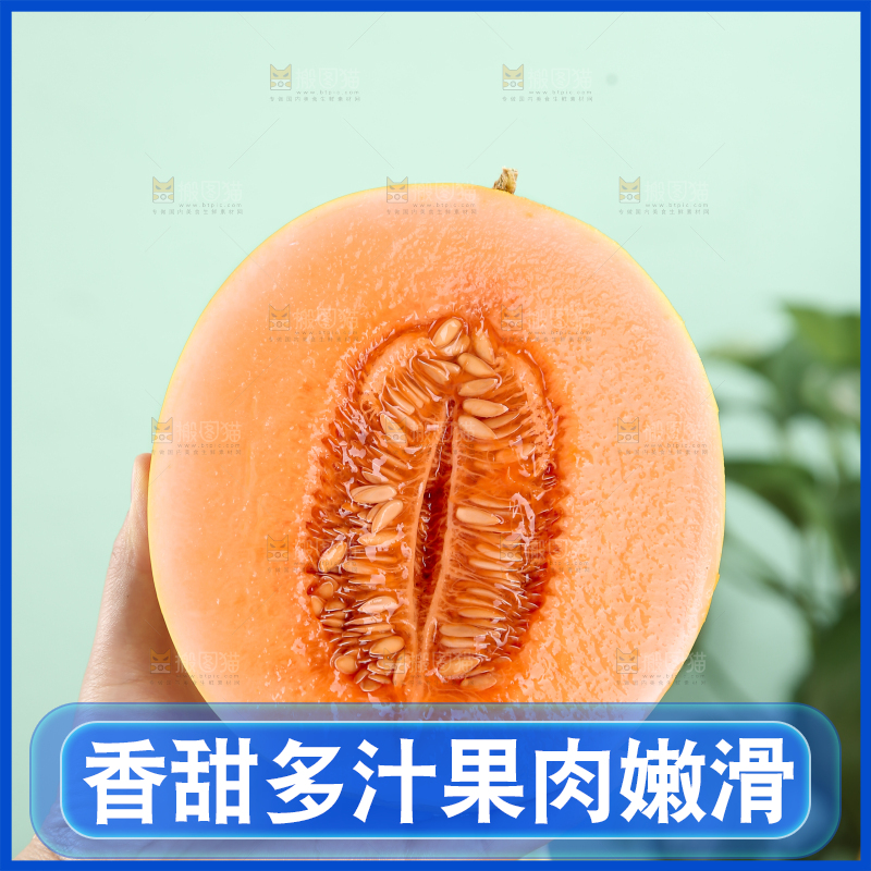 民勤蜜瓜