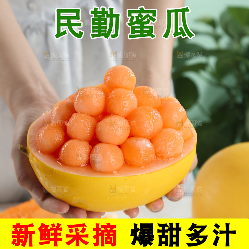 民勤蜜瓜