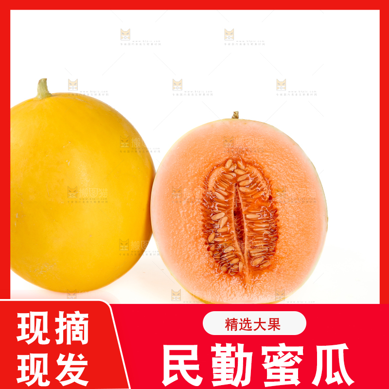 民勤蜜瓜