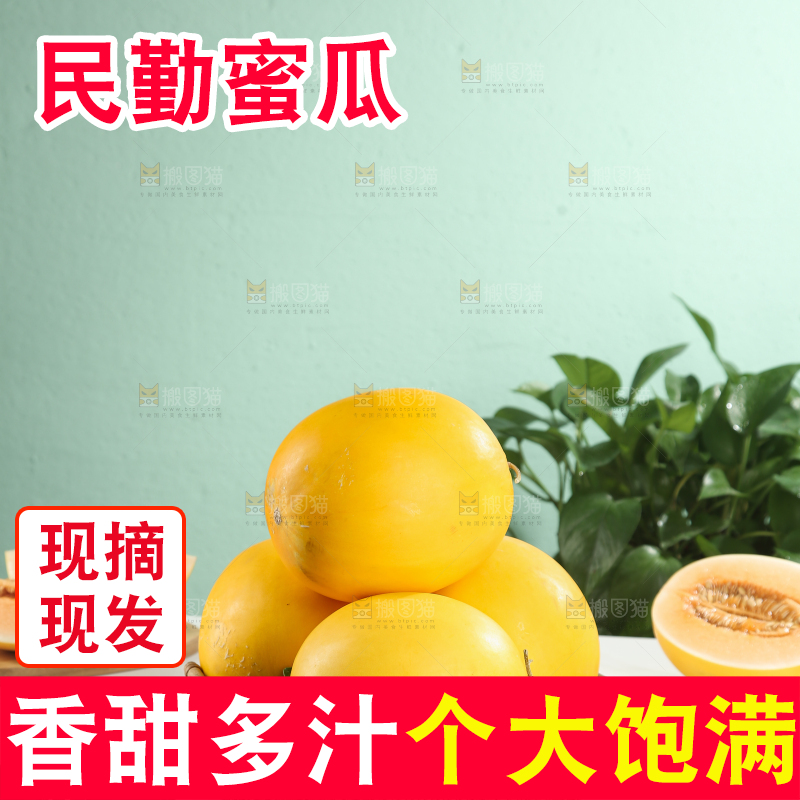 民勤蜜瓜