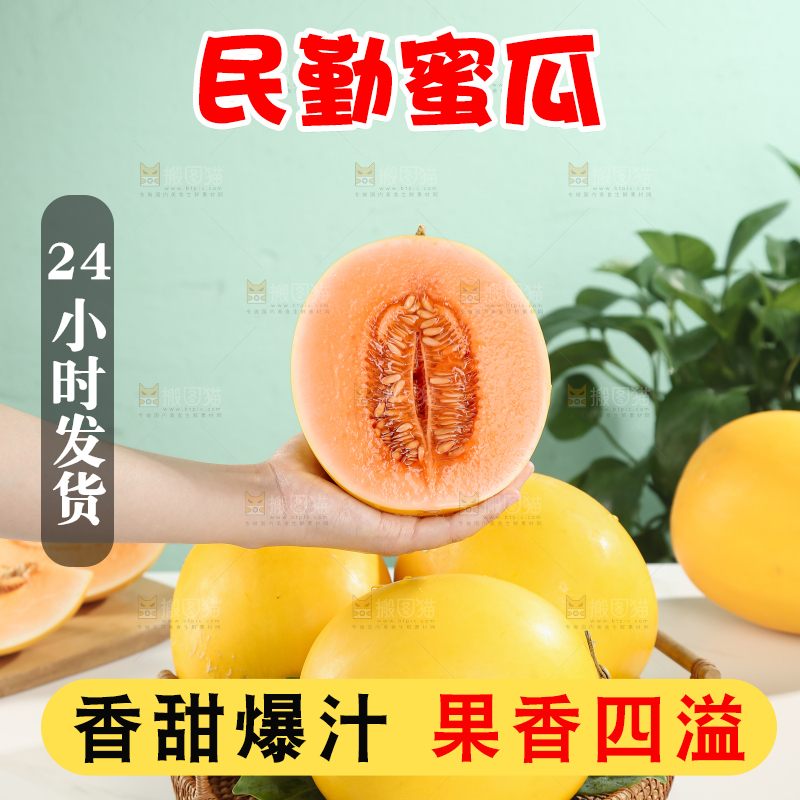 民勤蜜瓜