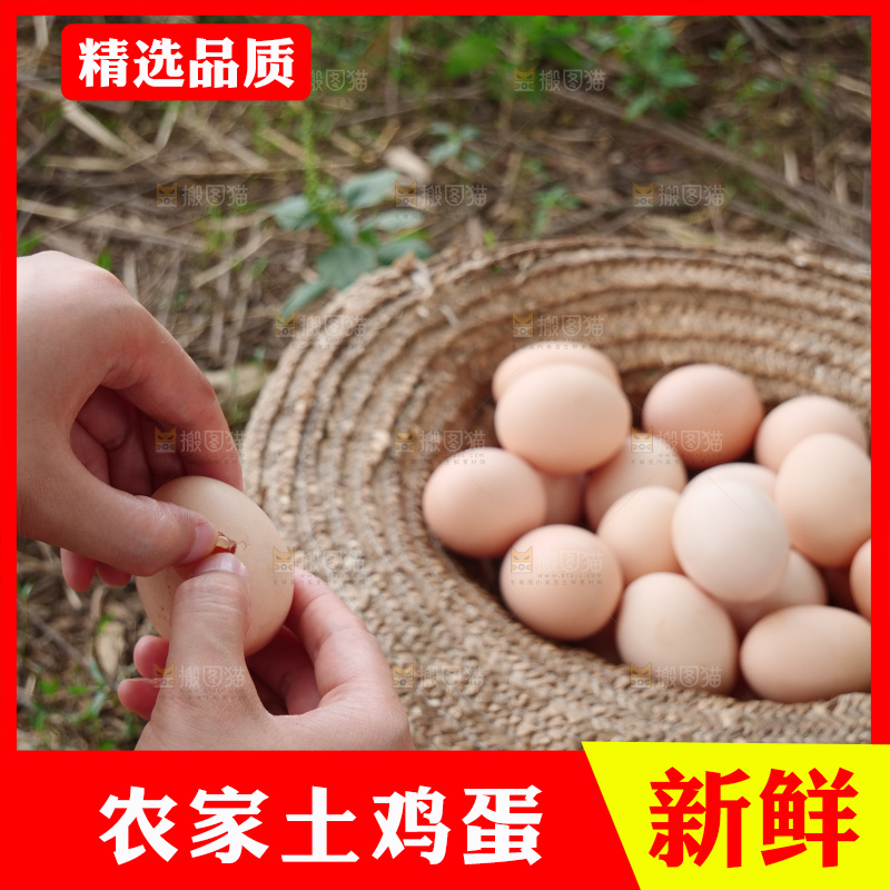 土鸡蛋