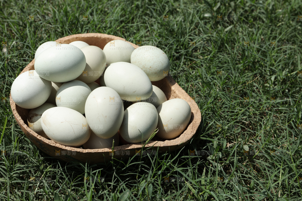 绿壳土鸡蛋