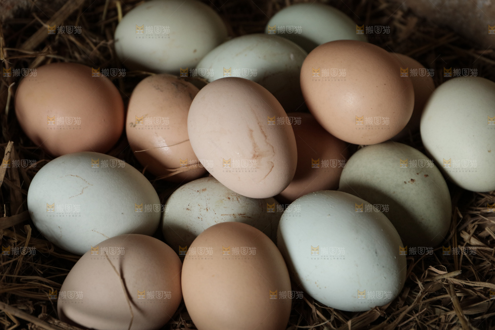 绿壳土鸡蛋