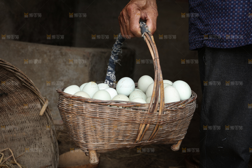 绿壳土鸡蛋