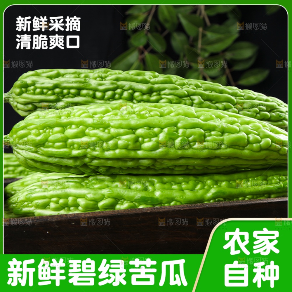 苦瓜主图