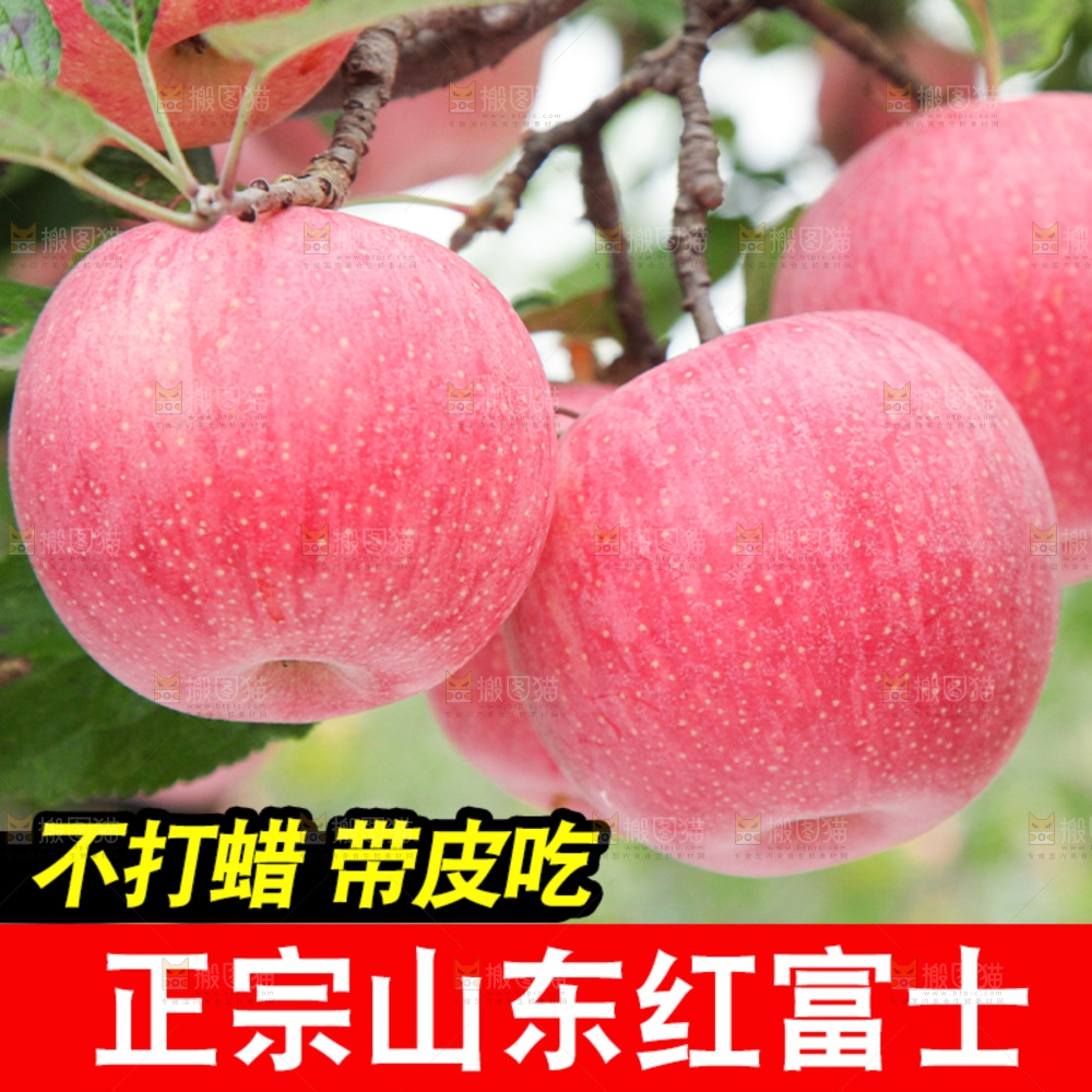 红富士苹果主图