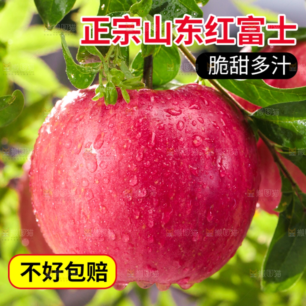 红富士苹果主图