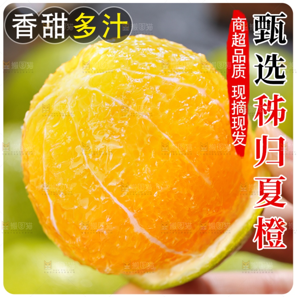 夏橙主图