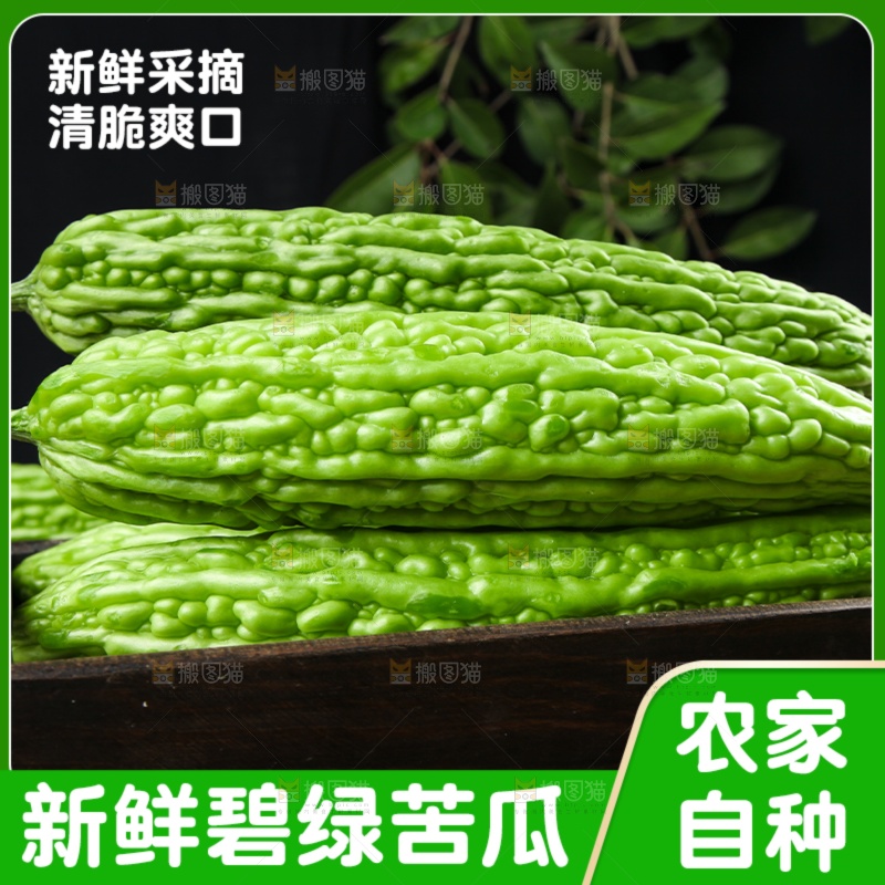 苦瓜主图