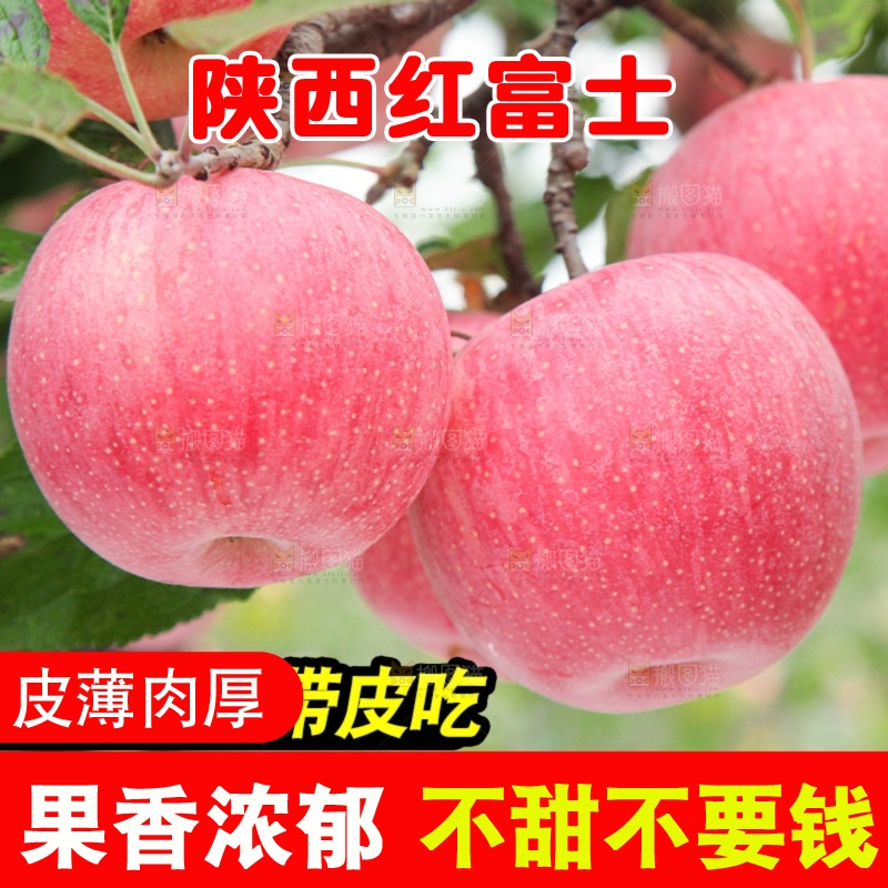 红富士苹果主图