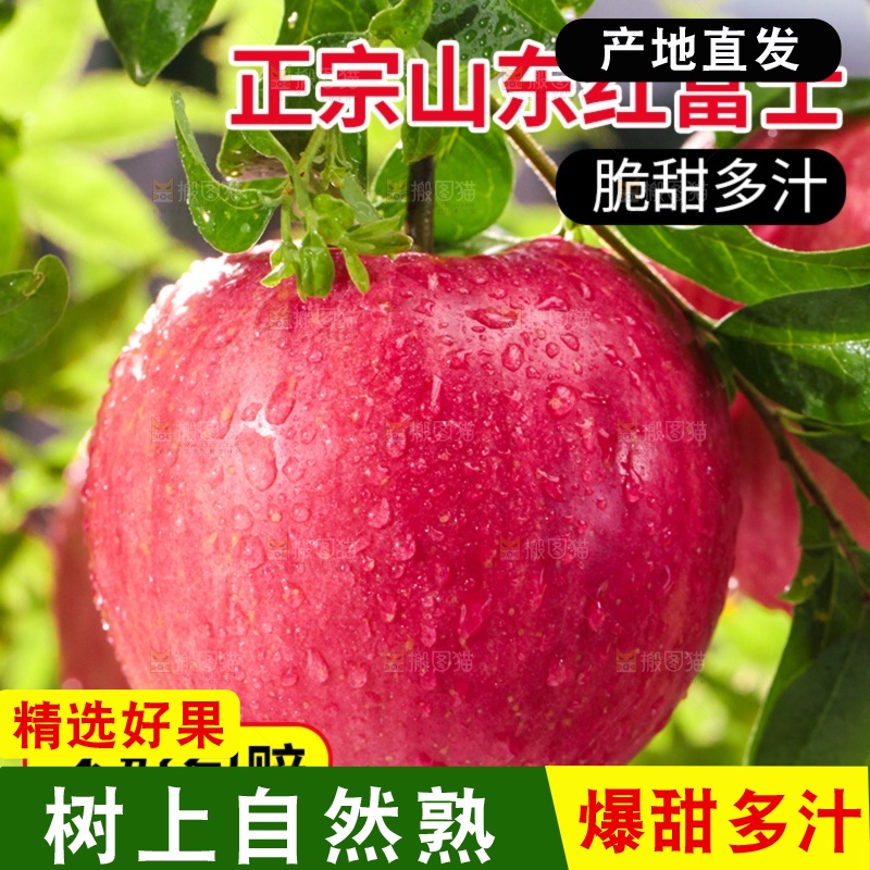 红富士苹果主图