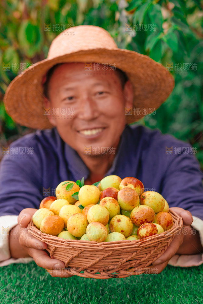 大荔冬枣