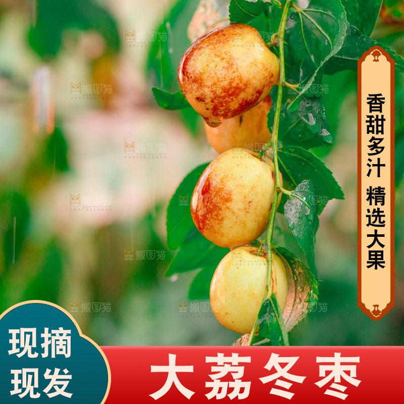 大荔冬枣