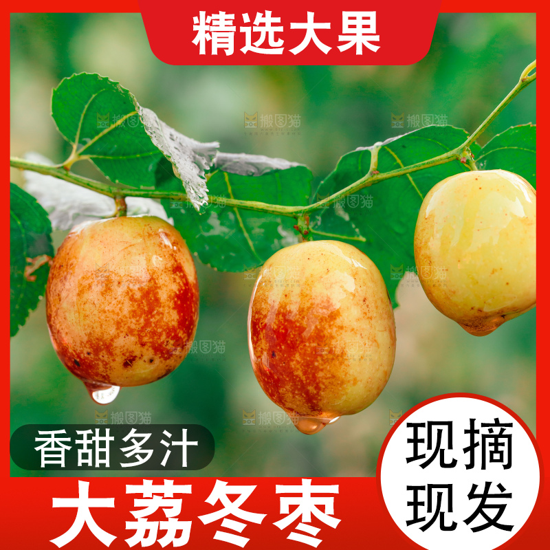 大荔冬枣