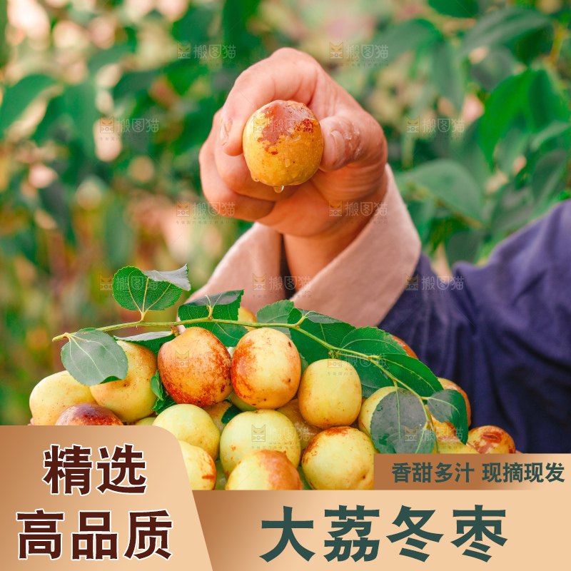 大荔冬枣