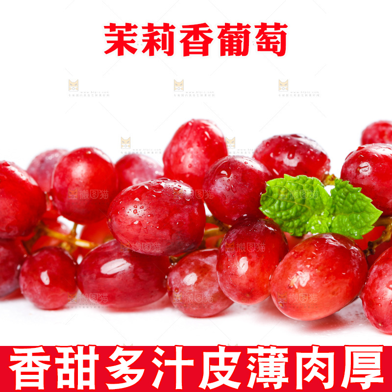 茉莉香葡萄