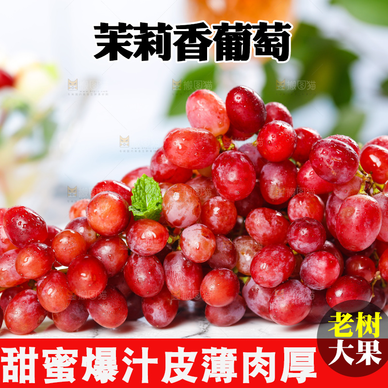 茉莉香葡萄