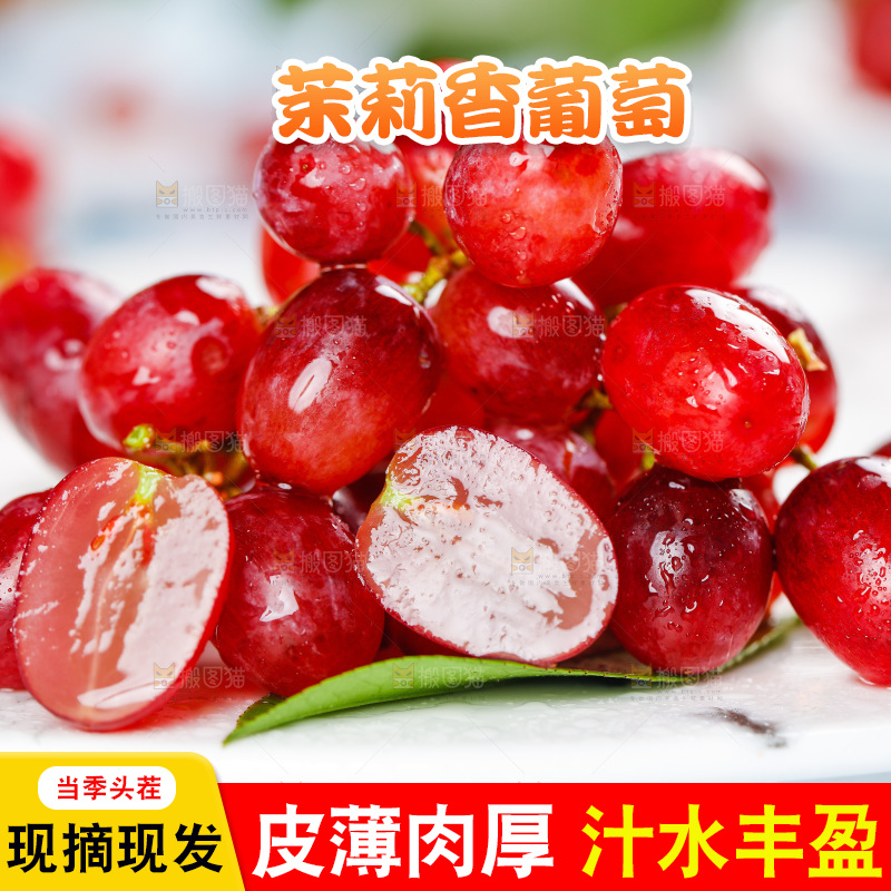 茉莉香葡萄