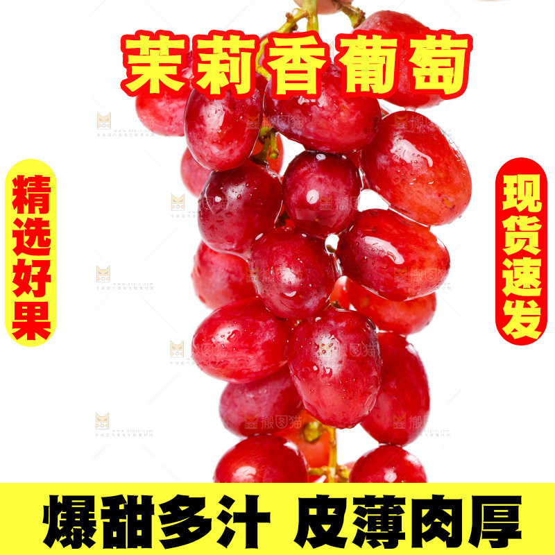 茉莉香葡萄