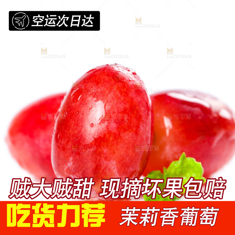 茉莉香葡萄