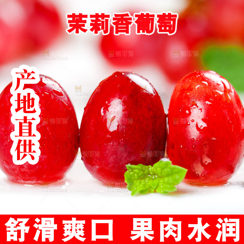 茉莉香葡萄