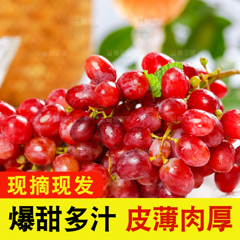 茉莉香葡萄