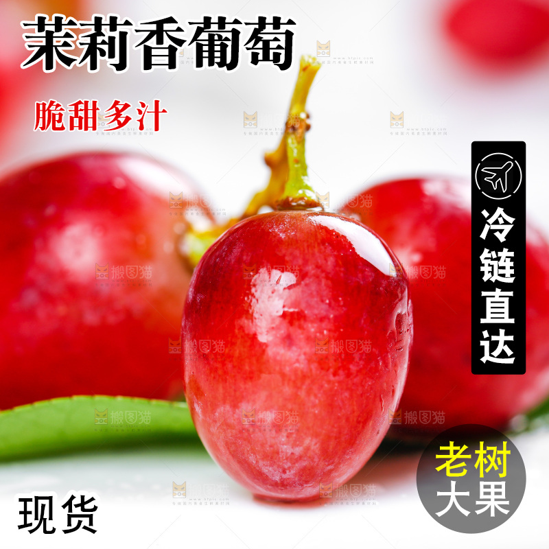 茉莉香葡萄