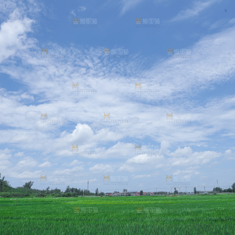 蓝天稻田
