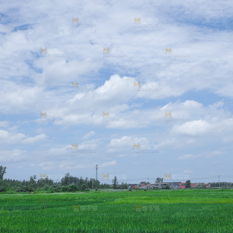 蓝天稻田