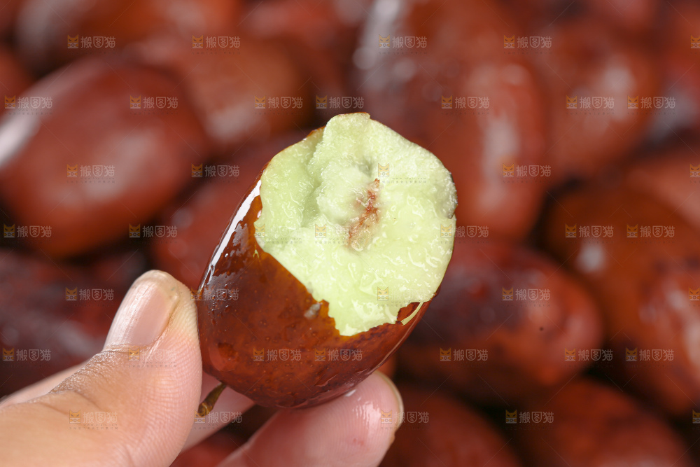 灵武长枣