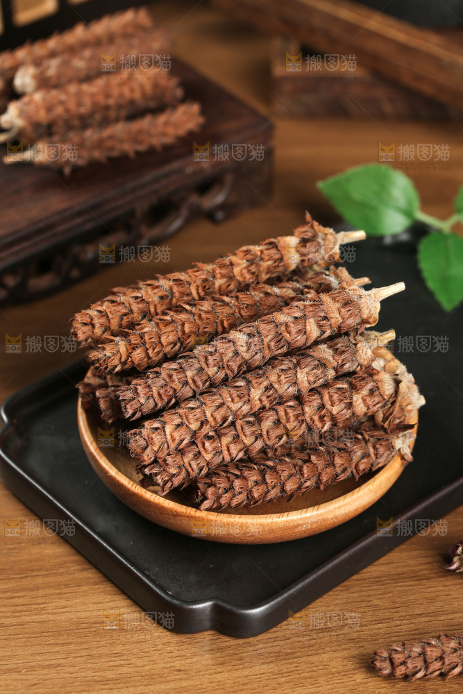 夏枯草