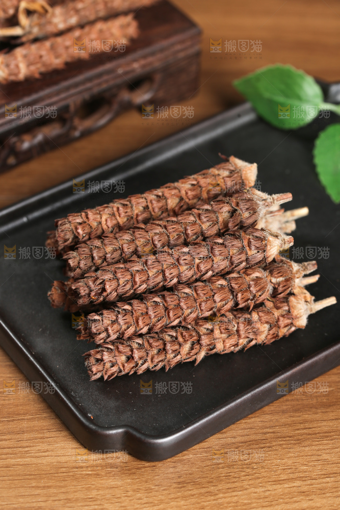 夏枯草