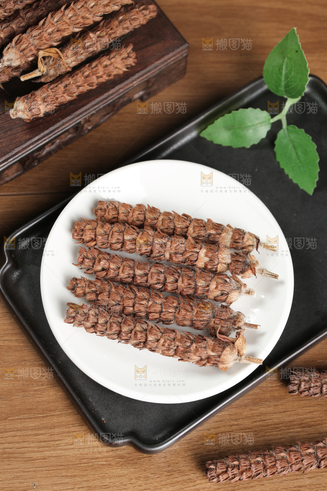 夏枯草