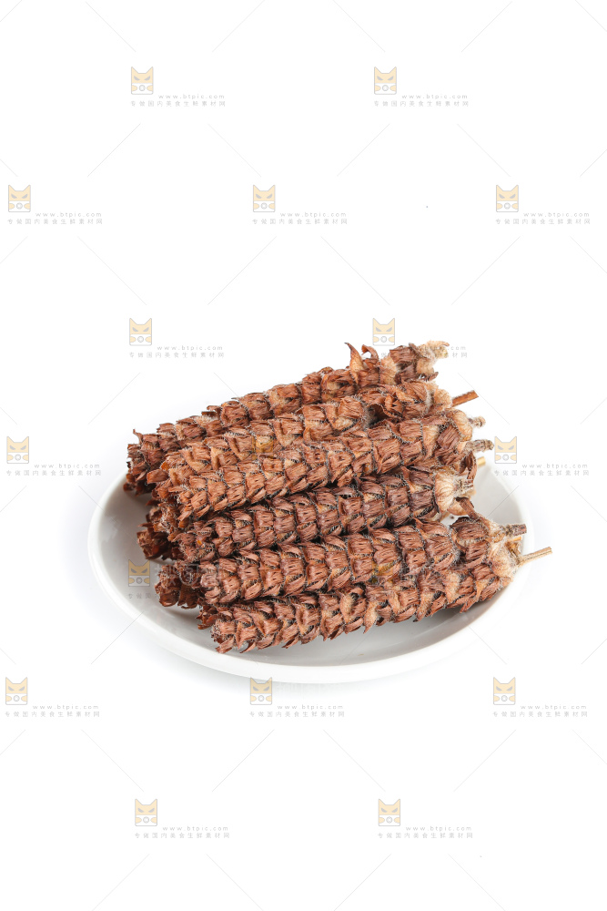 夏枯草